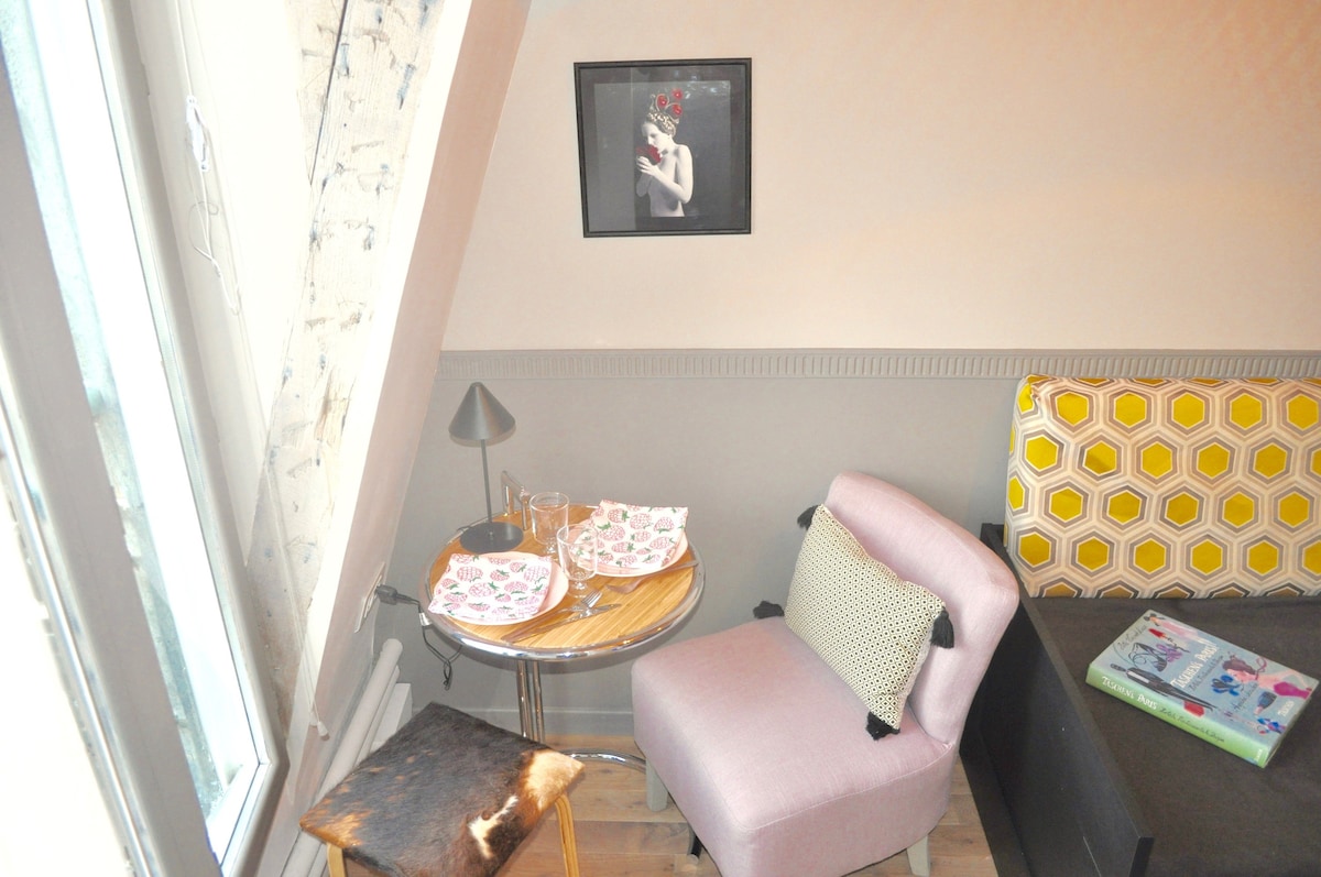 巴黎市中心舒适的小房间迷你单间公寓9t