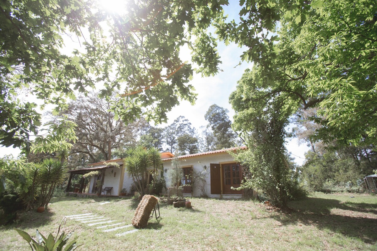 Quinta do Vale Grande - Moradia com Piscina