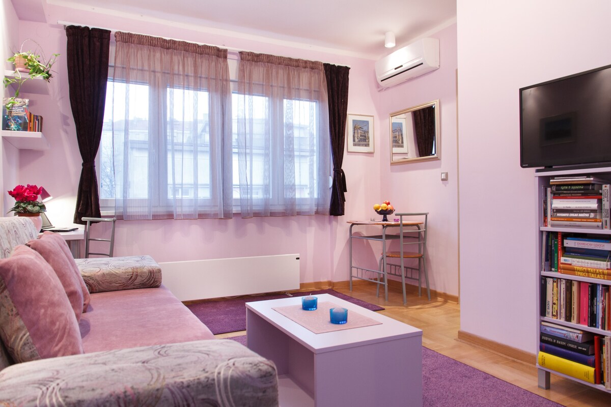 舒适-市中心可爱的紫罗兰色单间公寓