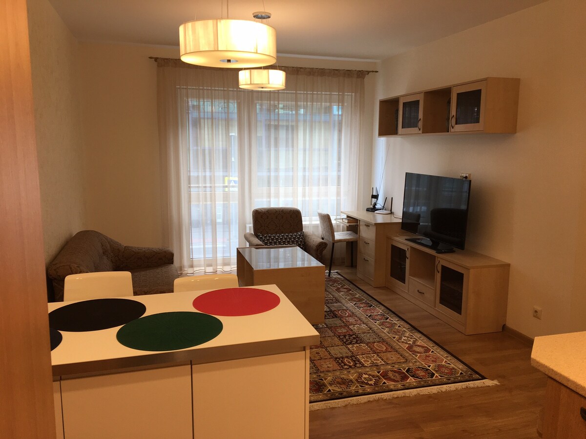 设备齐全、家具齐全的舒适公寓，位于维尔纽斯中心