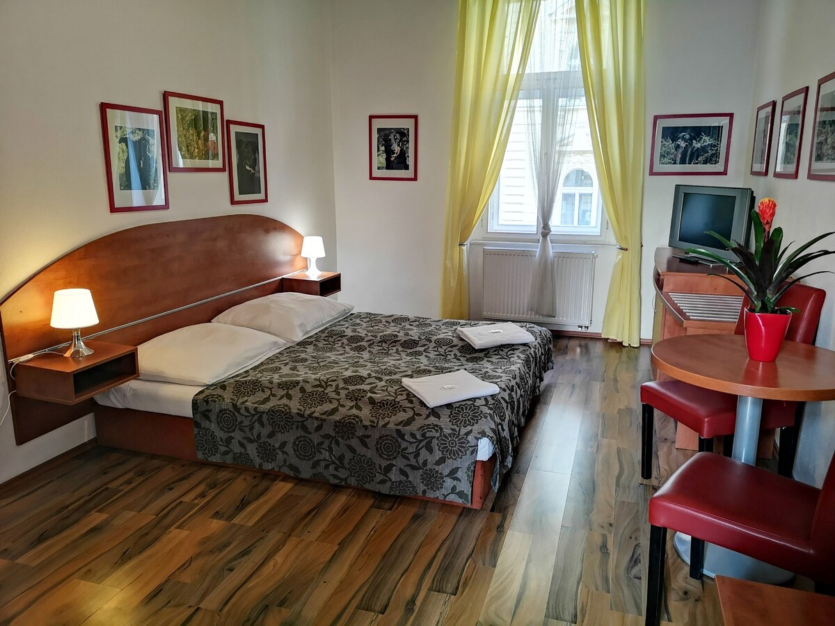 布拉格市中心可供3人入住的公寓