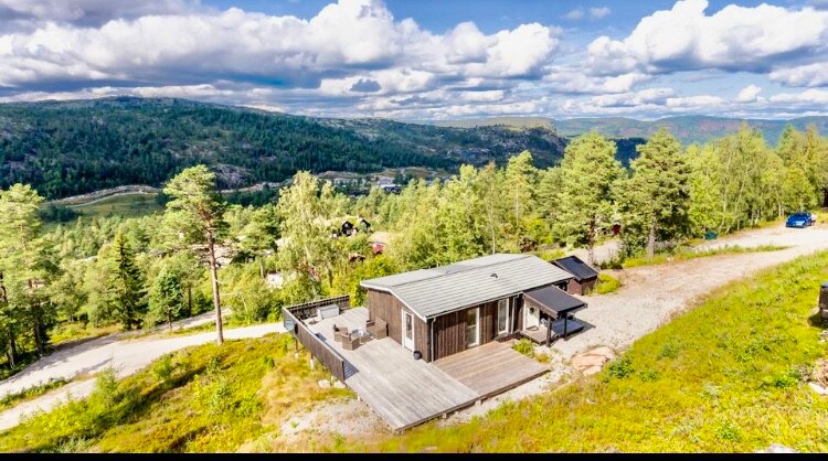 山间现代度假木屋Telemark