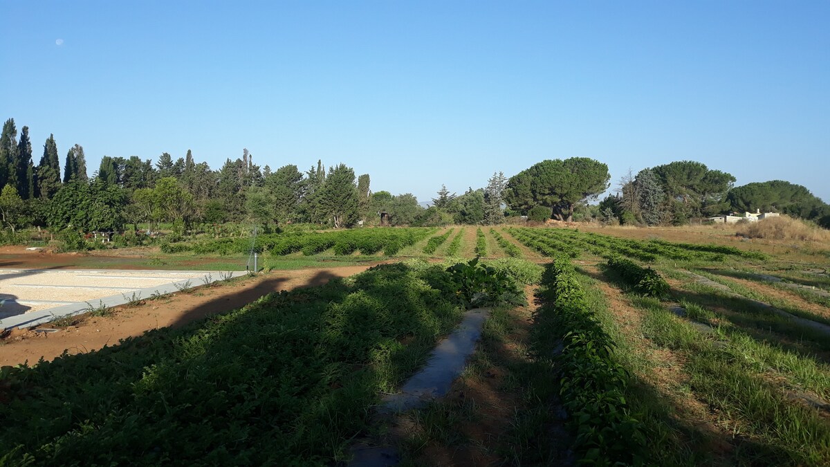 The Peppers Farm - Cayenna客房