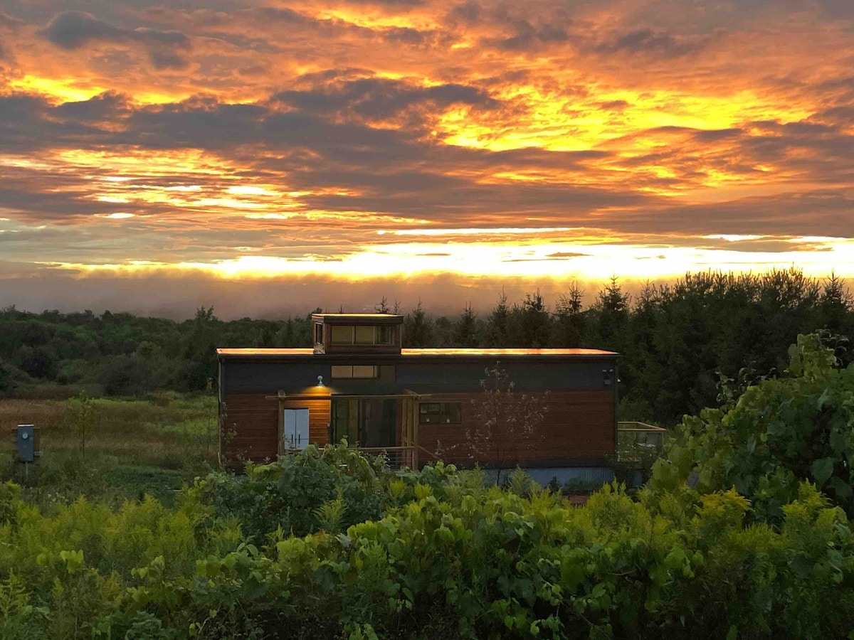 非微型住宅：乡村魅力，现代感