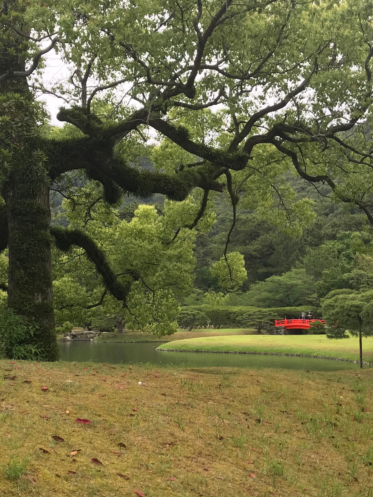 【桜】栗林公園徒歩3分。最大5人三階建貸切。欢迎家庭和儿童入住。無料駐車場有。JR栗林公園北口駅前