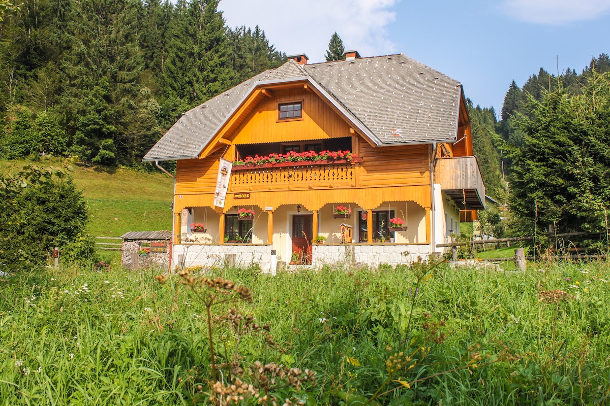 Homestead Zatrnik Near Bled # 2