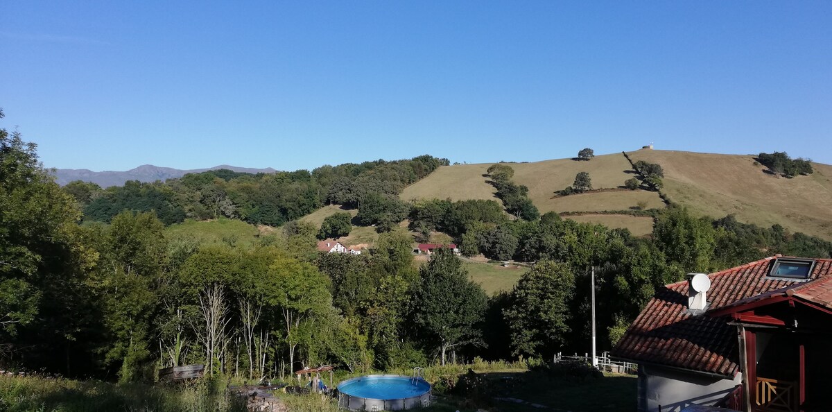 安静的巴斯克乡村住宿加早餐旅馆