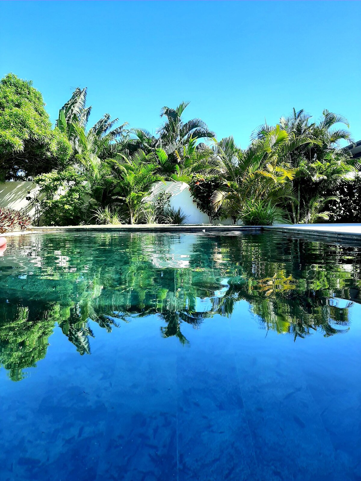 Pool Villa Surrounded by Tropical Greenery