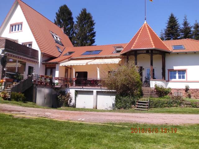 弗里森韩国膳宿公寓民宿