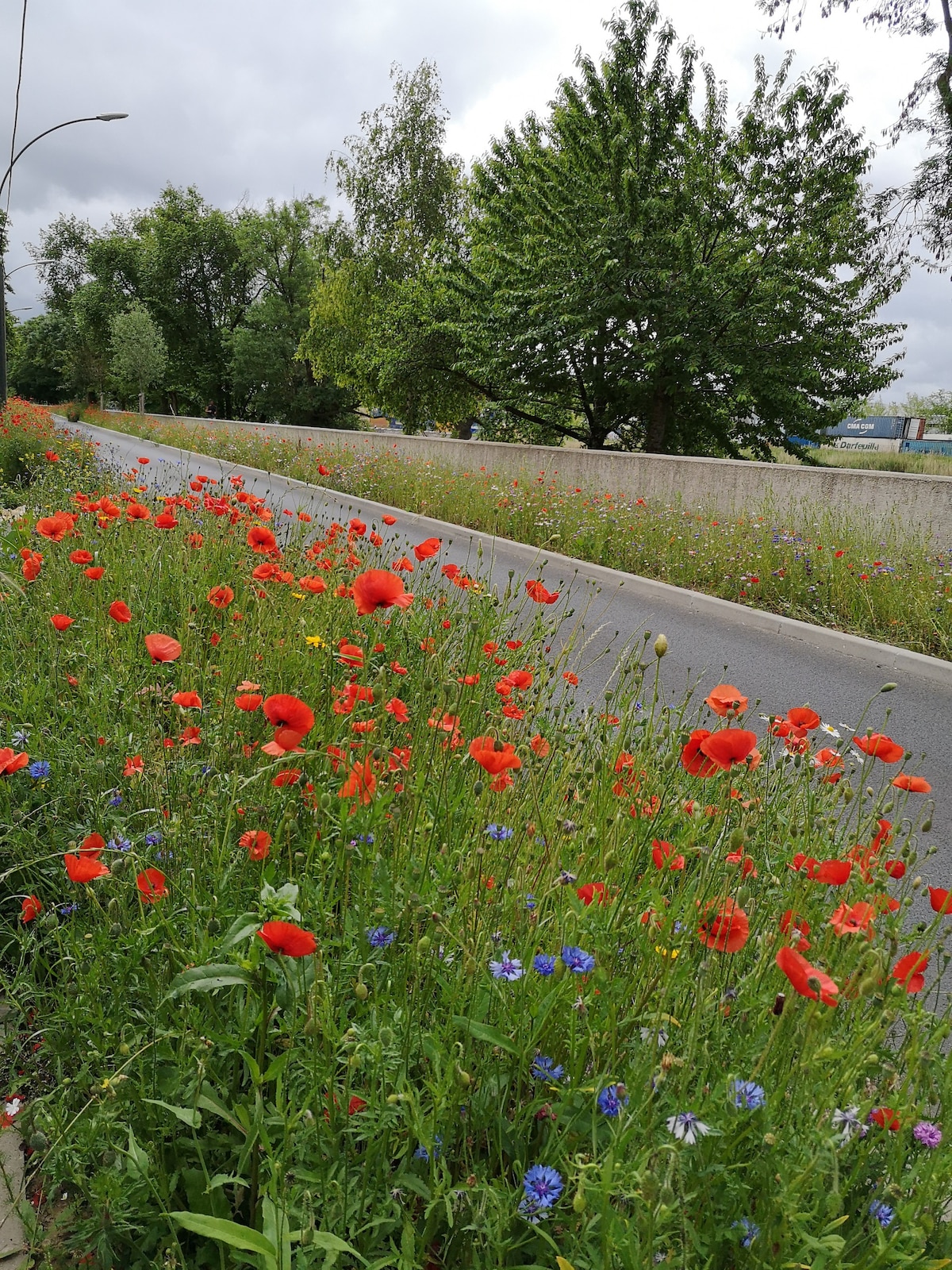 Havre verdure bords de Marne94Saint-Maur4pers.