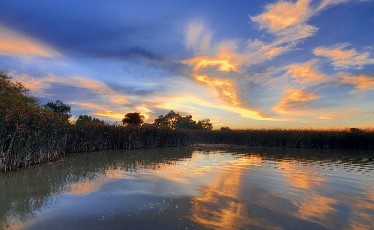 Lakeshore Bliss on Gunnison Bend Reservoir