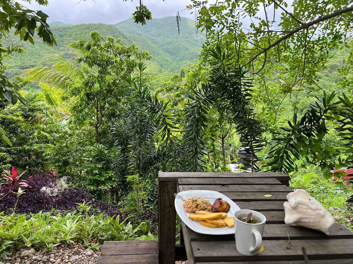 金斯敦山顶小木屋令人惊叹的山景