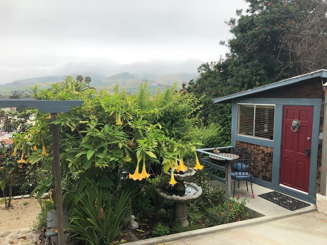 蜂鸟温馨小屋、花园、树屋、景观