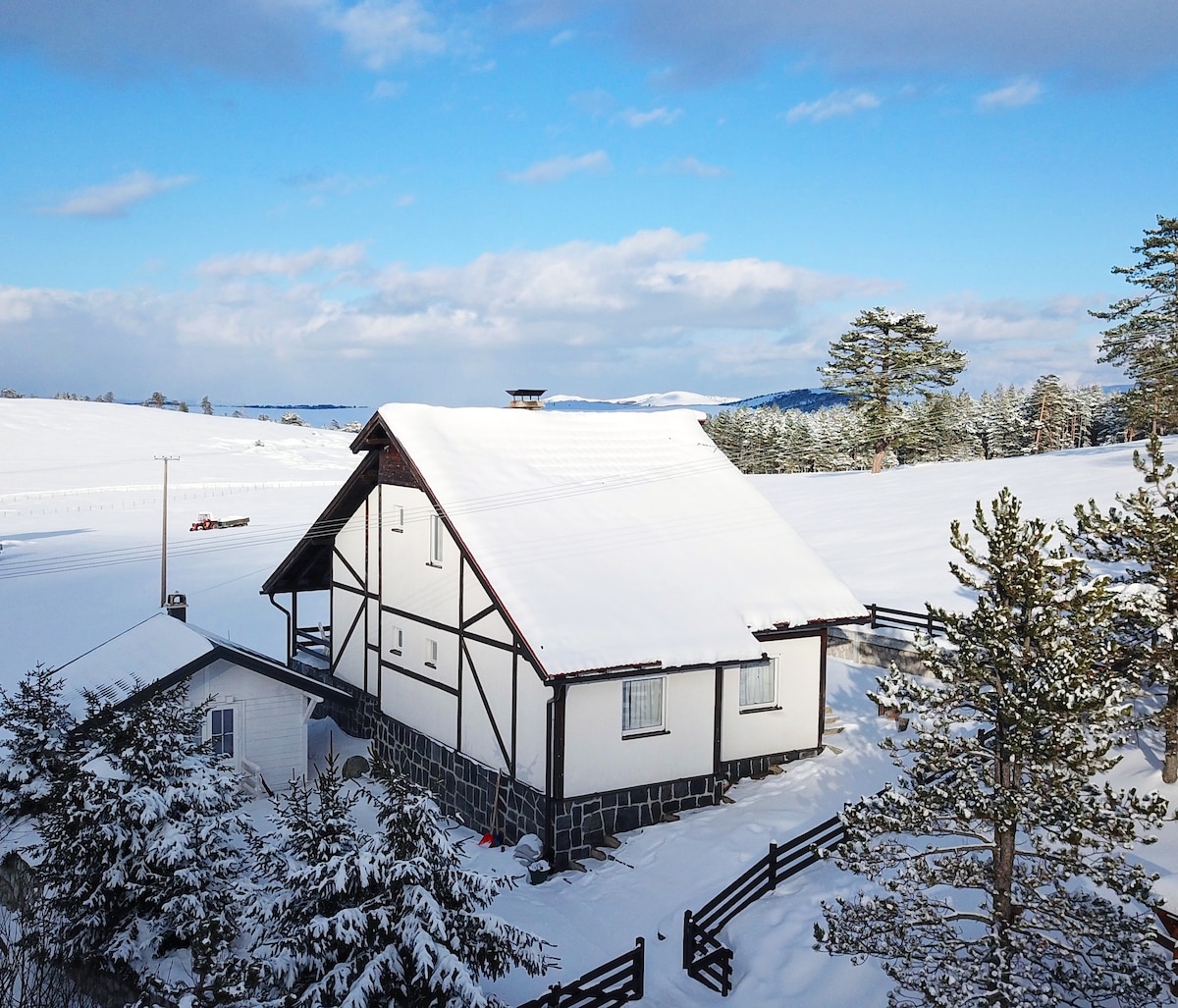 Jela别墅， Zlatibor ， Tornik。