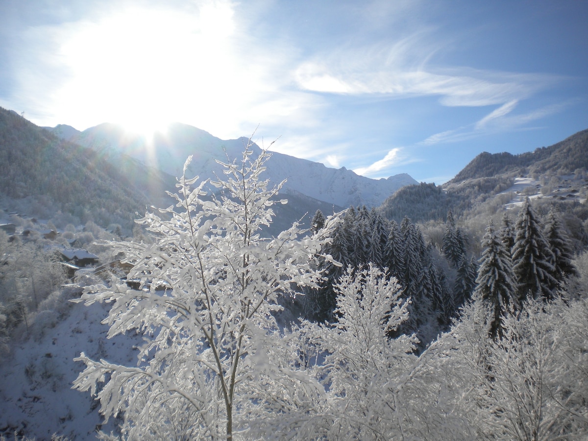 Séjour neige face à la chaine du Mont-Blanc