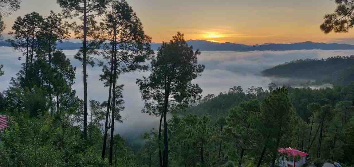 10 Nautical Mile Mountain Cottage,Ranikhet -Room-1