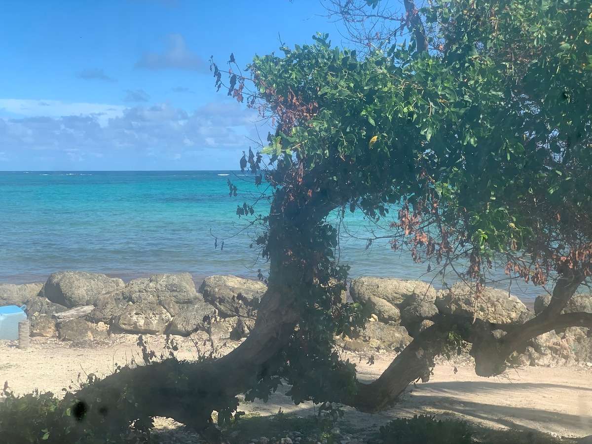 Nature Ocean Bungalow Trocas