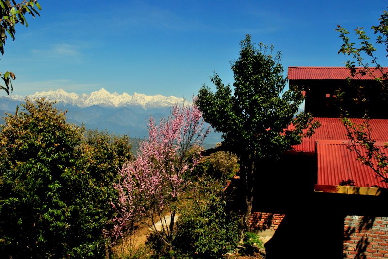 Big Family Cottage @ Jhaltola offbeat KumaonHimalaya