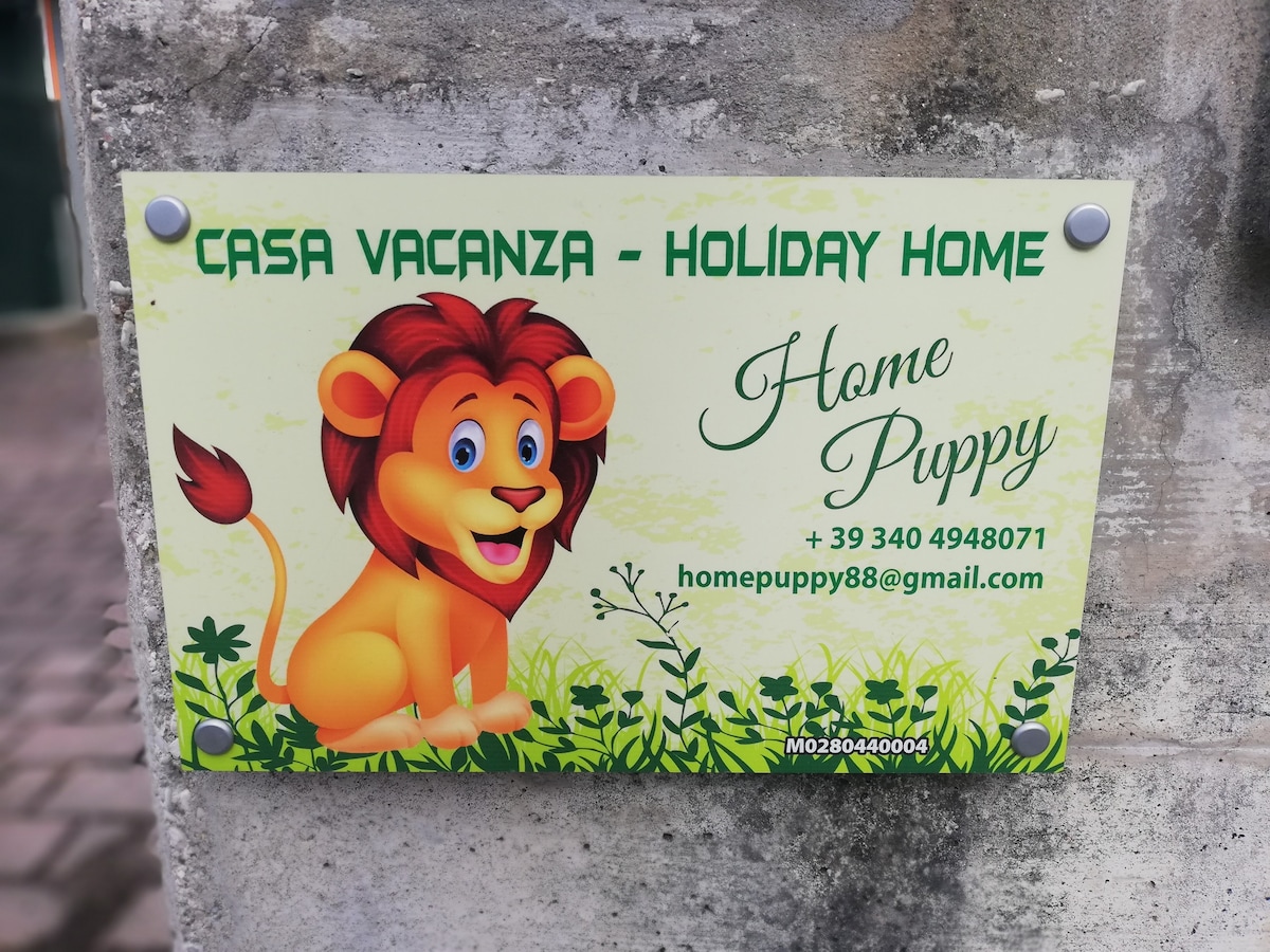 Home Puppy Legnaro Padua Padua Venice Venice