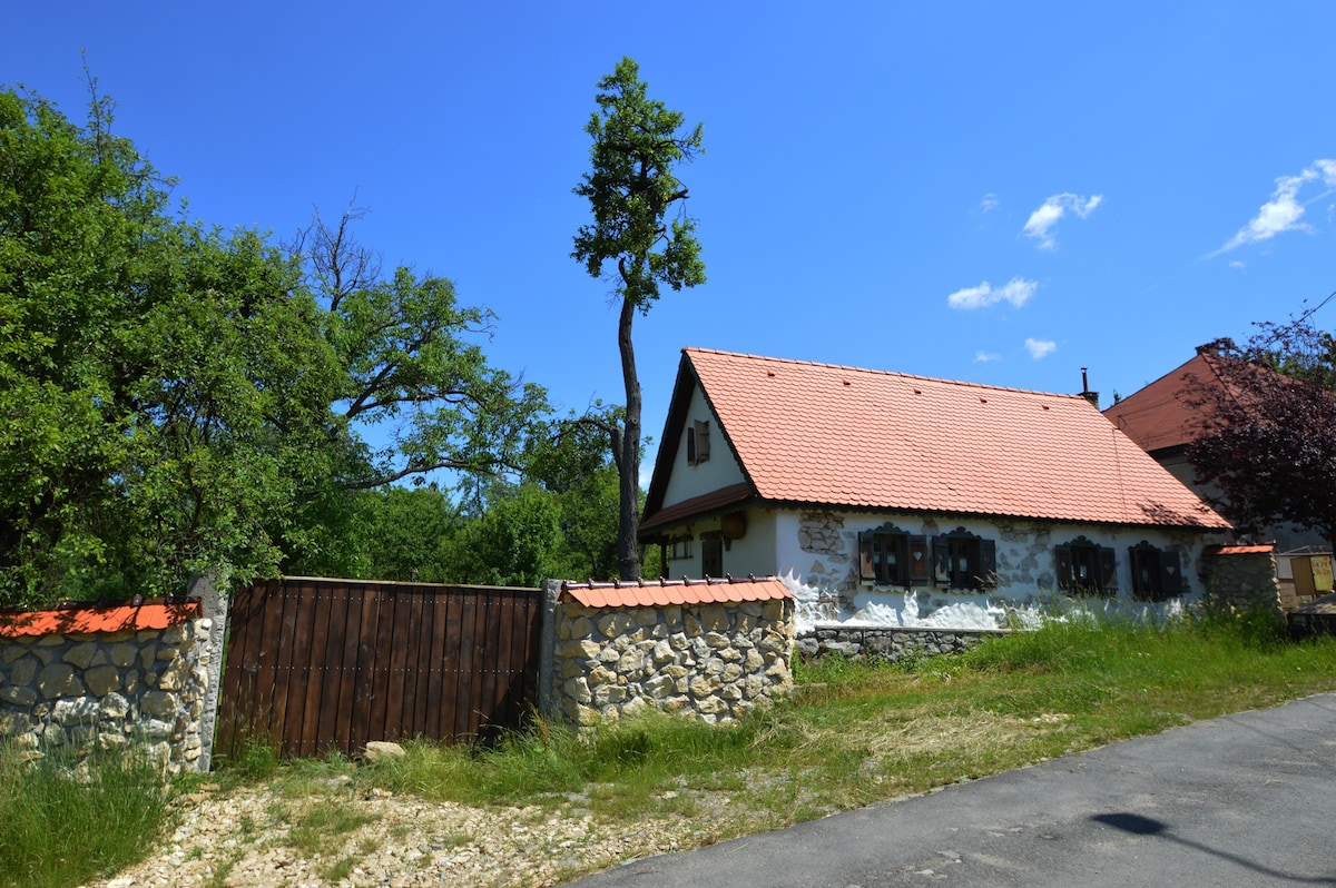 Transylvania的传统Stone House of Maramures