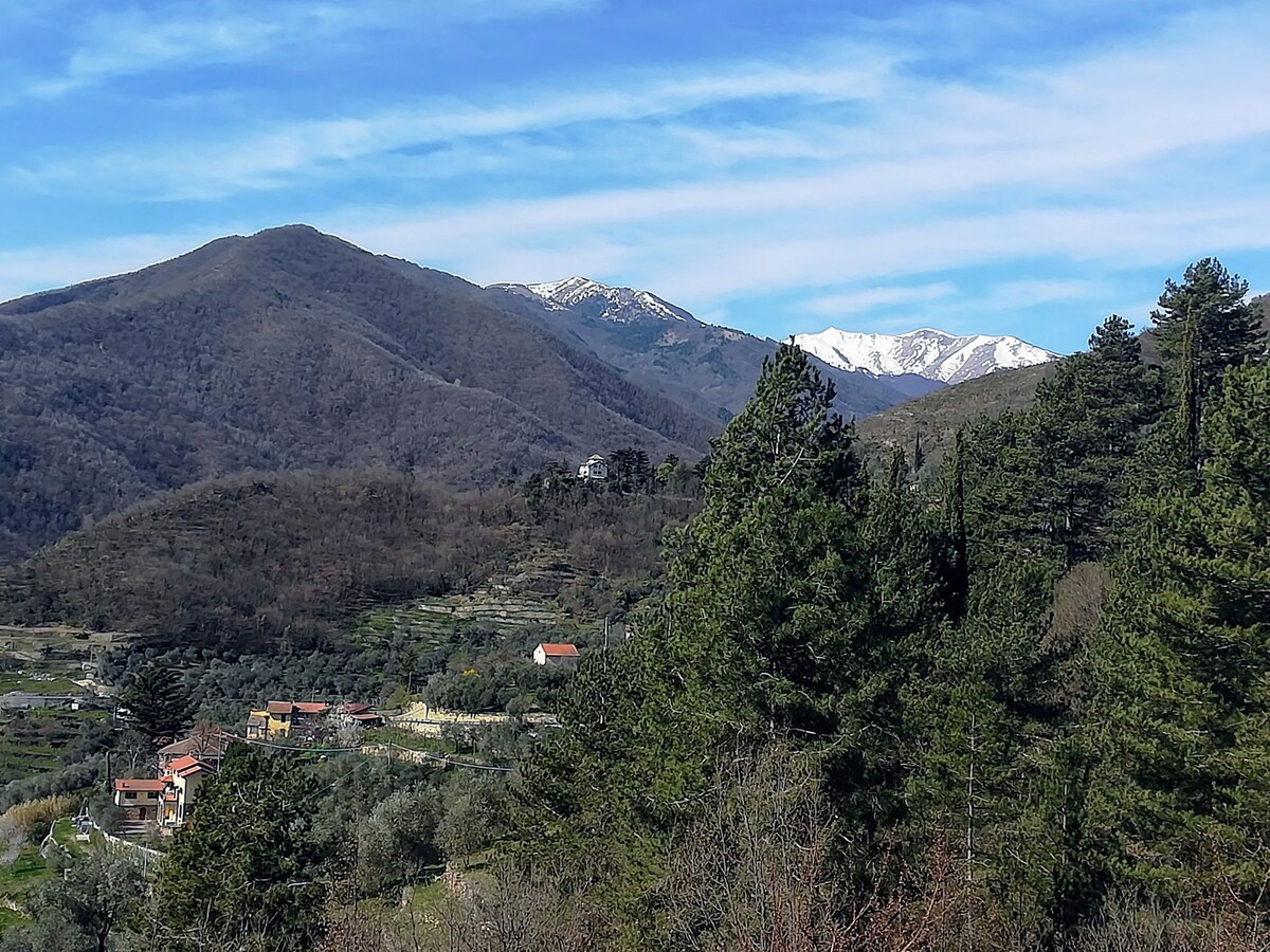 La Casa del Frantoio