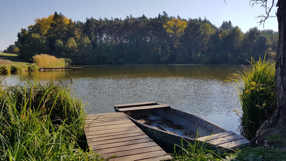 Stawy u Sikory. Czapla. Domek gościnny.