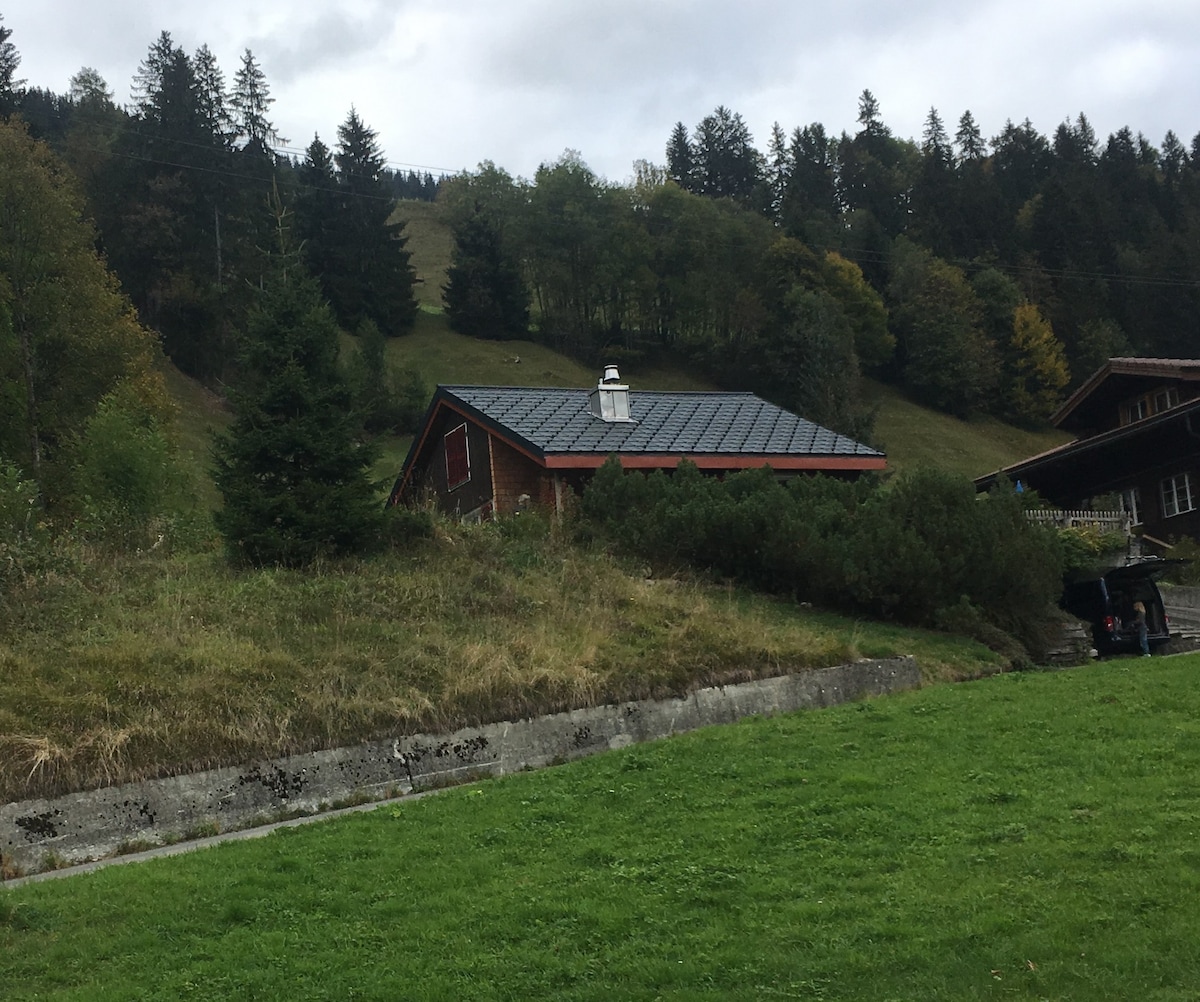 美丽的乡村小屋Adelboden ，田园诗般的地理位置