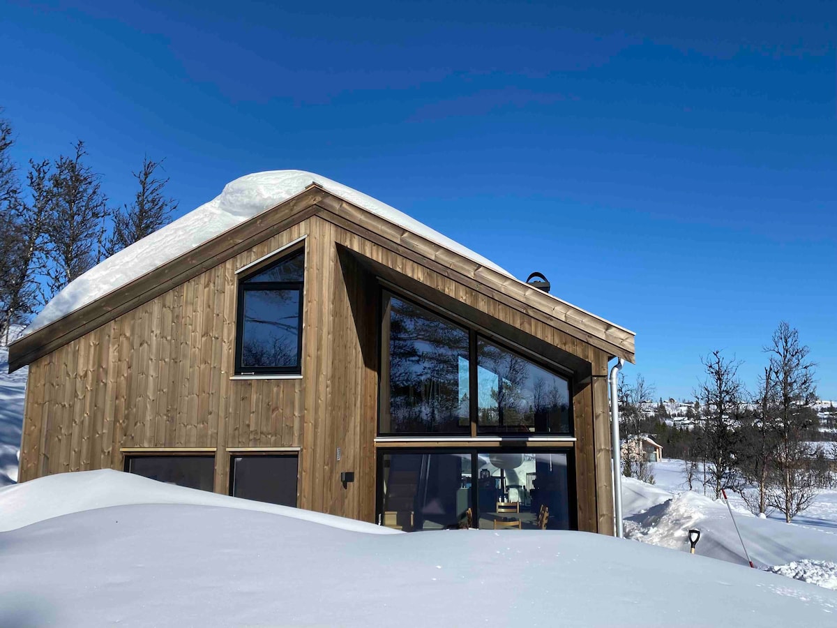 Lakeview Mountain Cabin