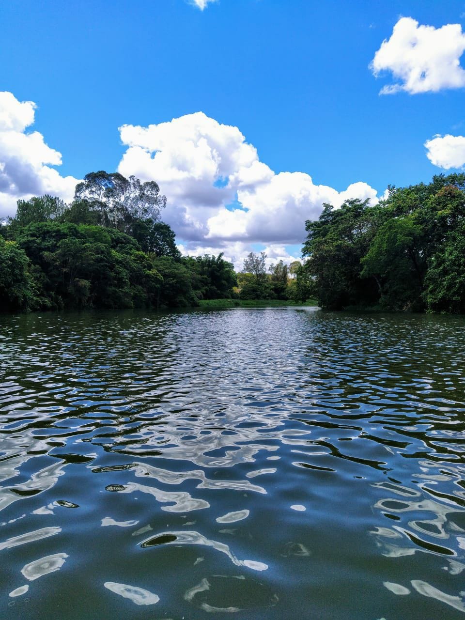里奥帕尔多（ Rio Pardo ）边缘的牧场，设有游泳池