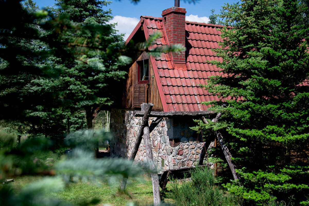 Kosanna -位于草地和森林中的迷人小屋