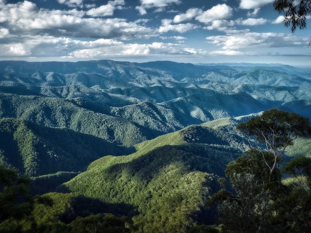 多里戈 (Dorrigo)的民宿