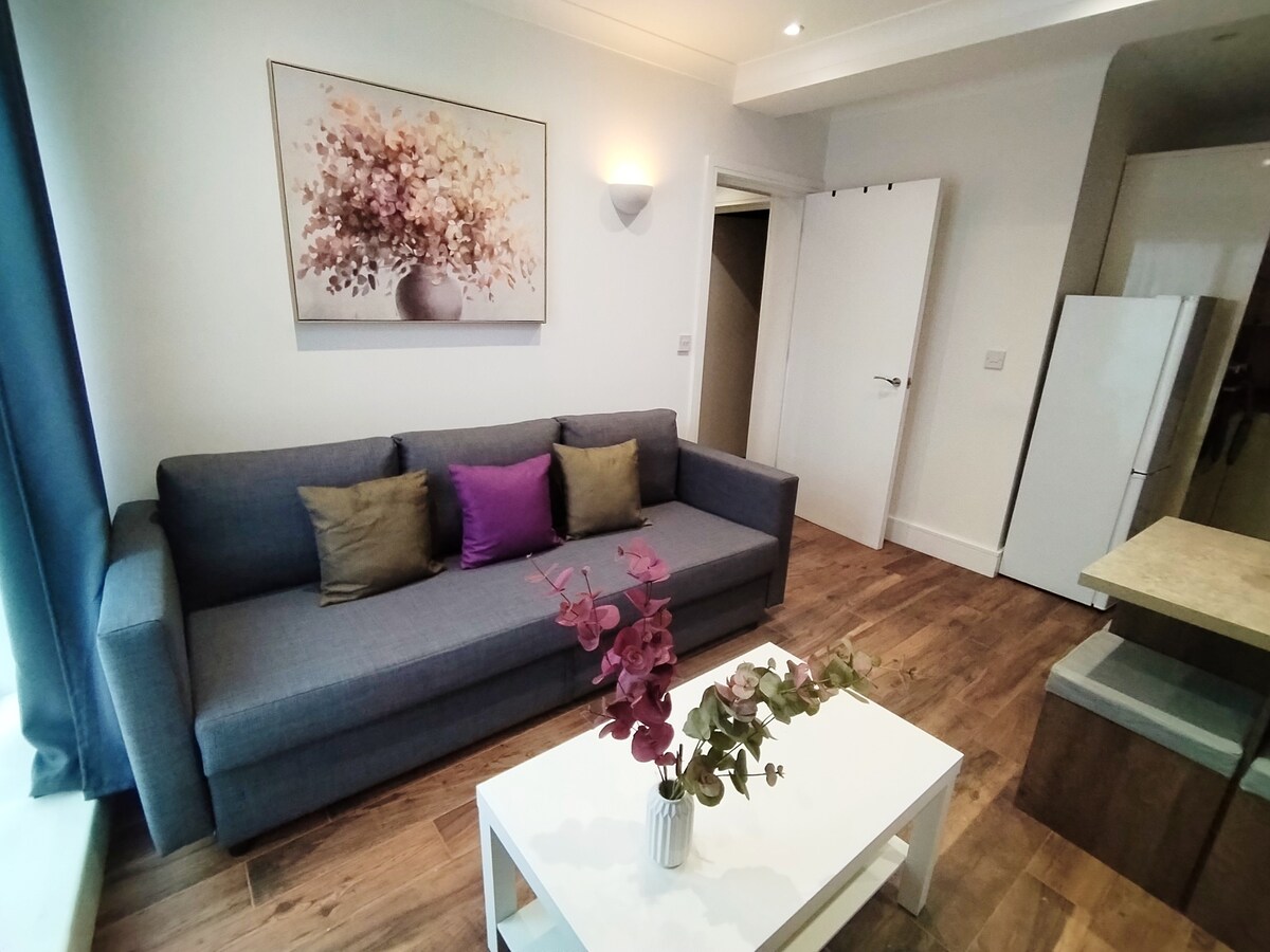 Luxury apartment near central London- metro, E1