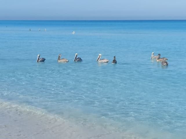 巴拉德罗 (Varadero)的民宿