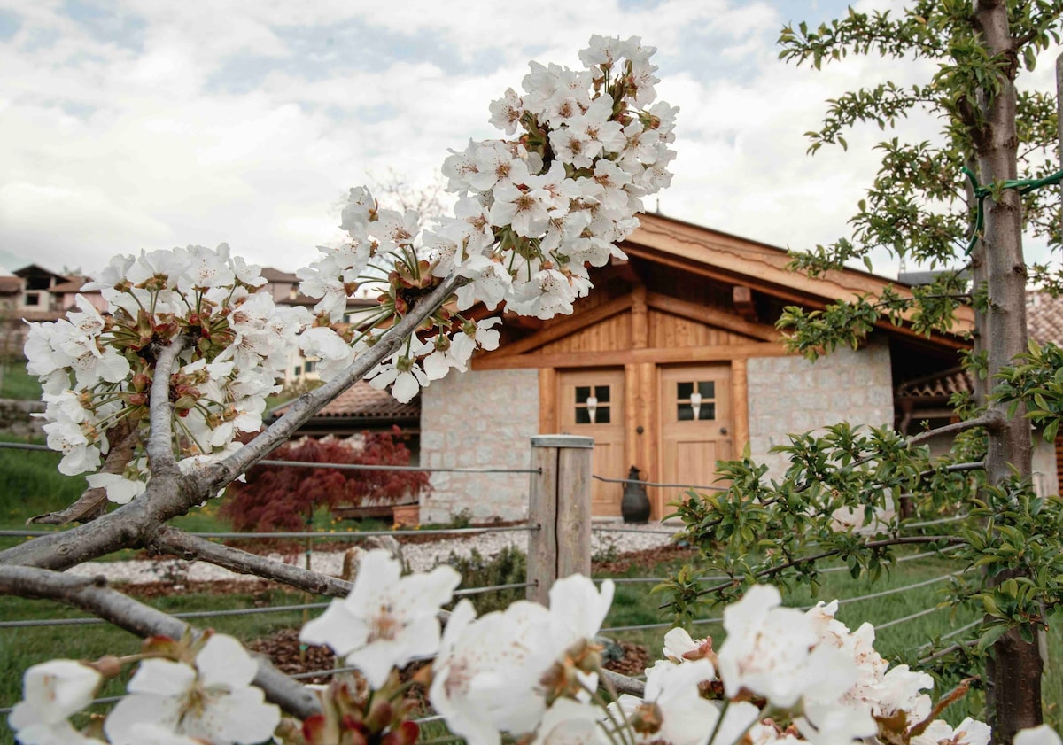 Agritur La Coccinella “Moderno”