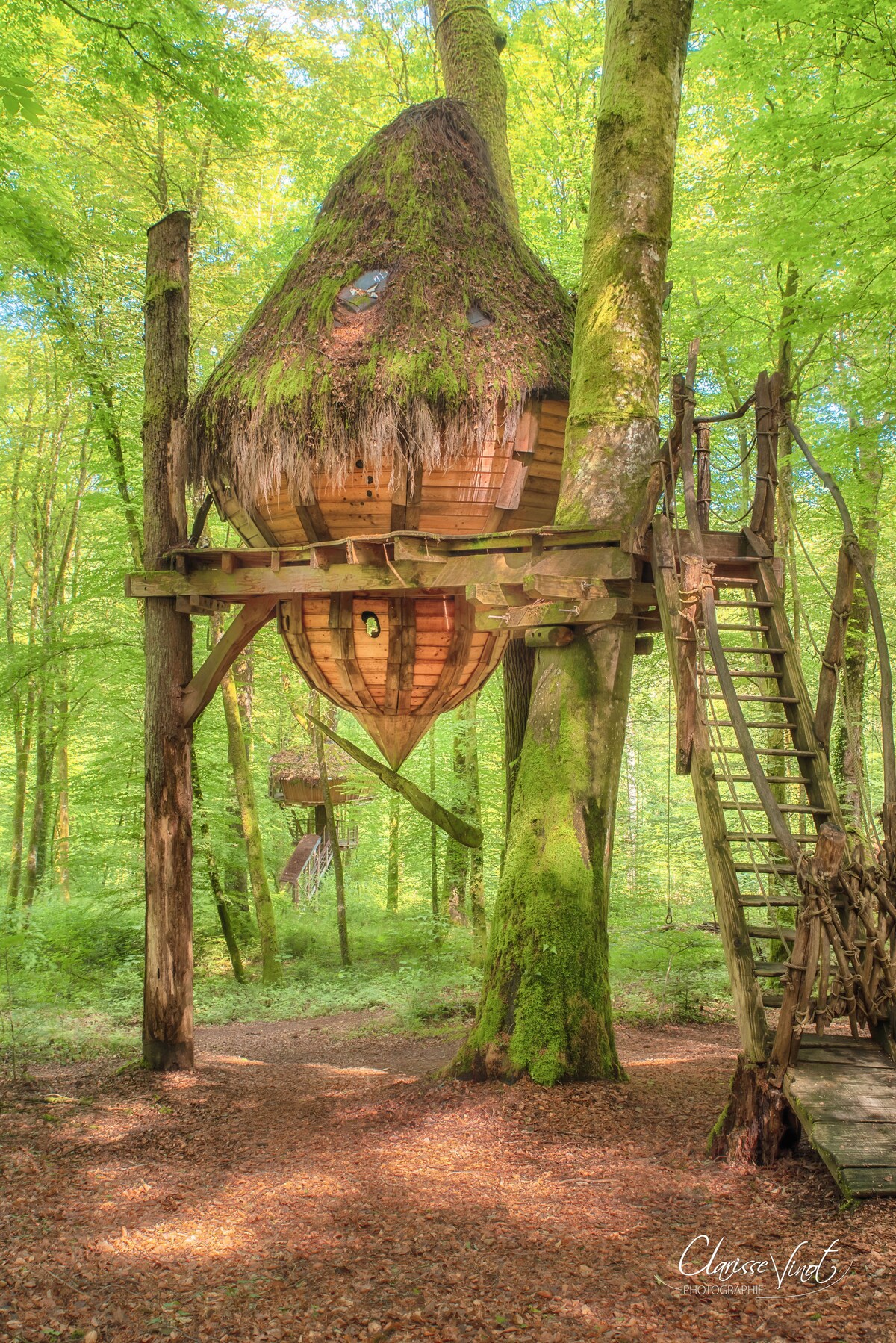 Cabin Drommen - L'Arbre à Cabane