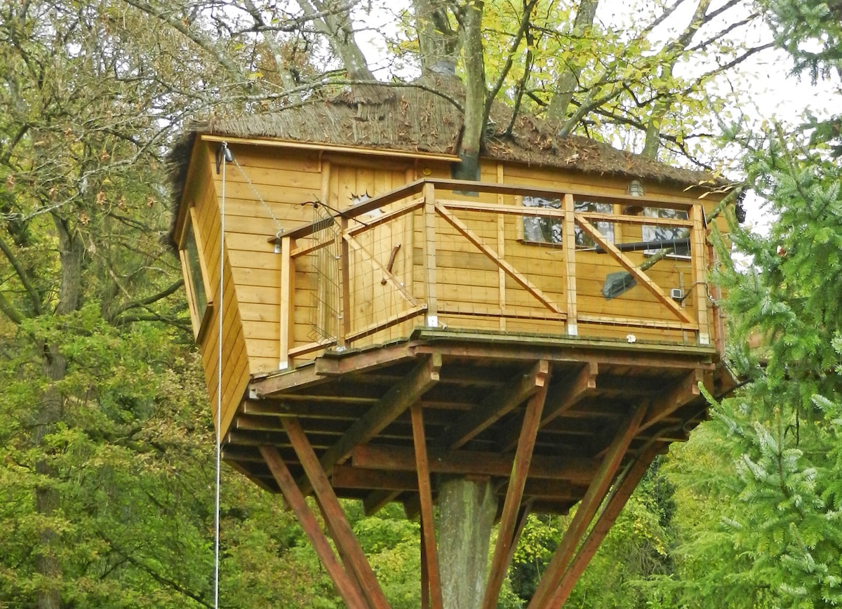 Cabane du Charme