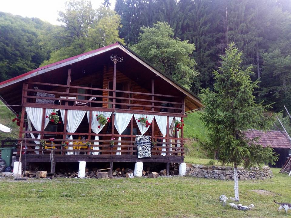 Cabana Cazanesti / Cazanesti Chalet