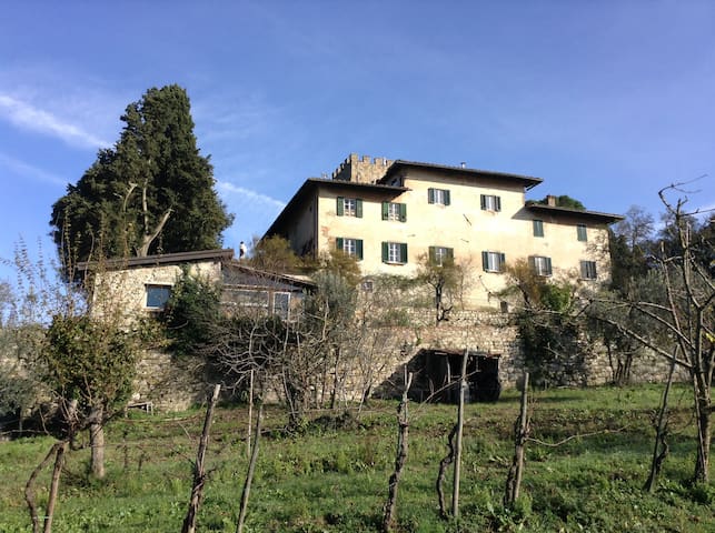 San Donato In Collina的民宿