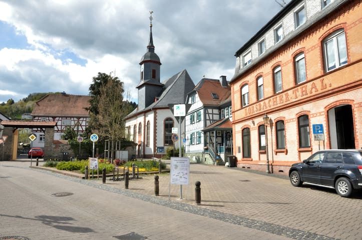 Hofheim am Taunus的民宿