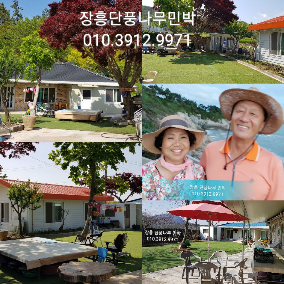 [주황색 102호] 3인기준. 100년이상된 단풍나무가 살아있는 곳