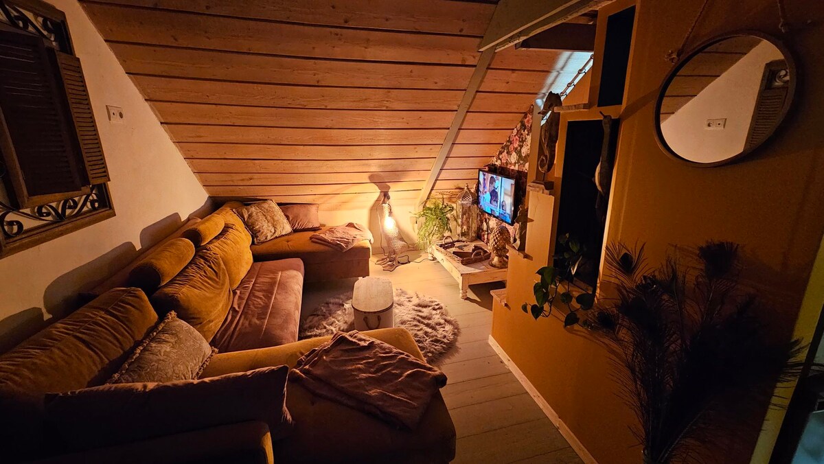 appartement cosy et chaleureux