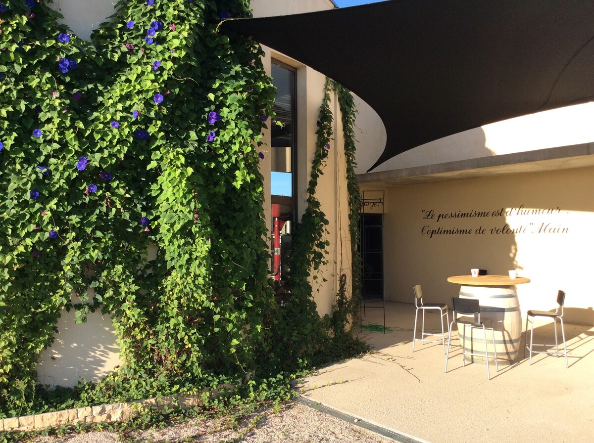 Loft au coeur d'un vignoble