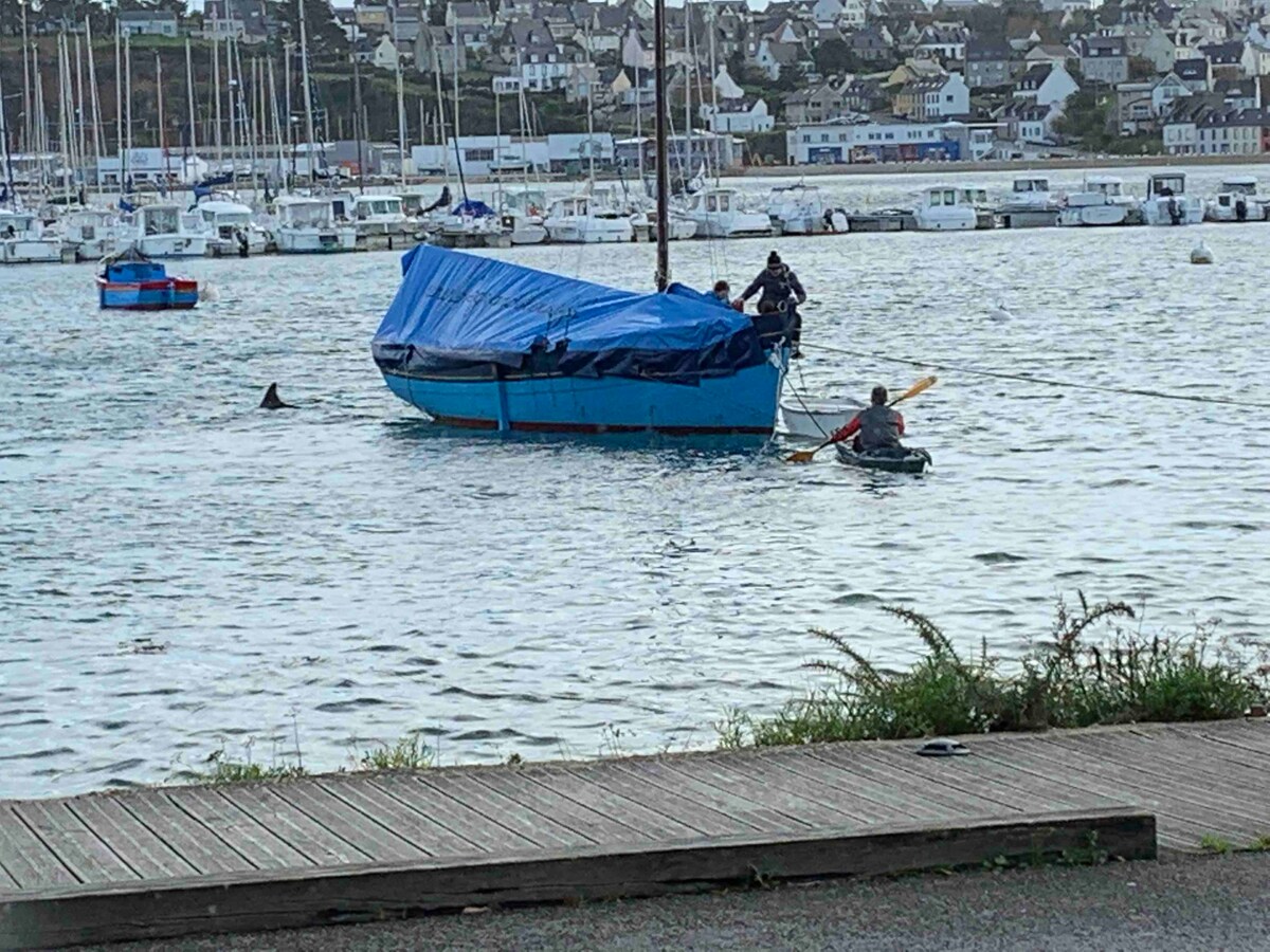 可欣赏海景的海滨单间公寓