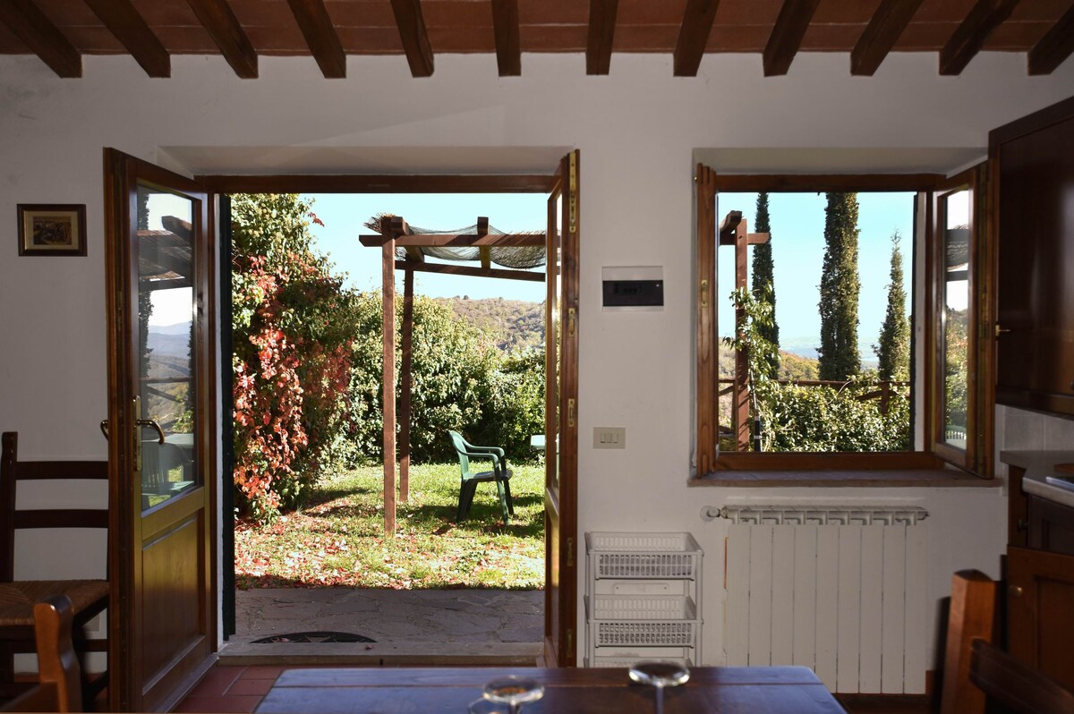 Apartment in  a castle surrounded by its vineyards