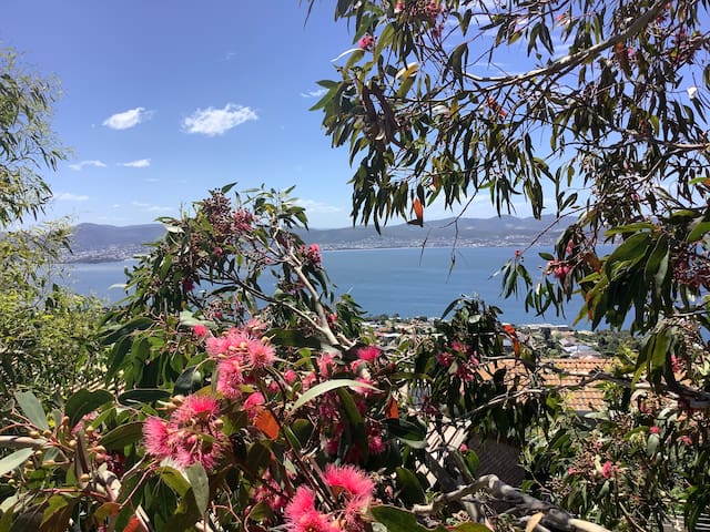 桑迪湾(Sandy Bay)的民宿