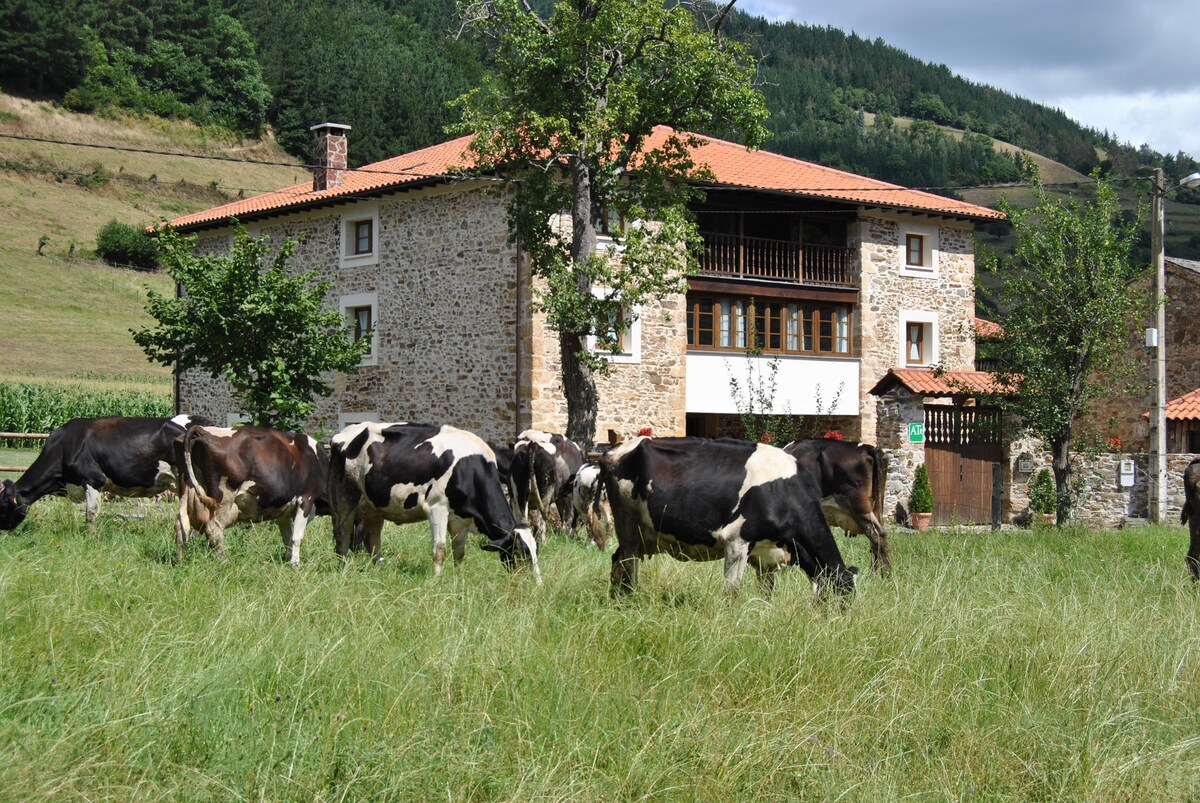 Asturias乡村Tineo公寓