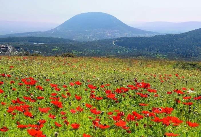 Beit Keshet的民宿