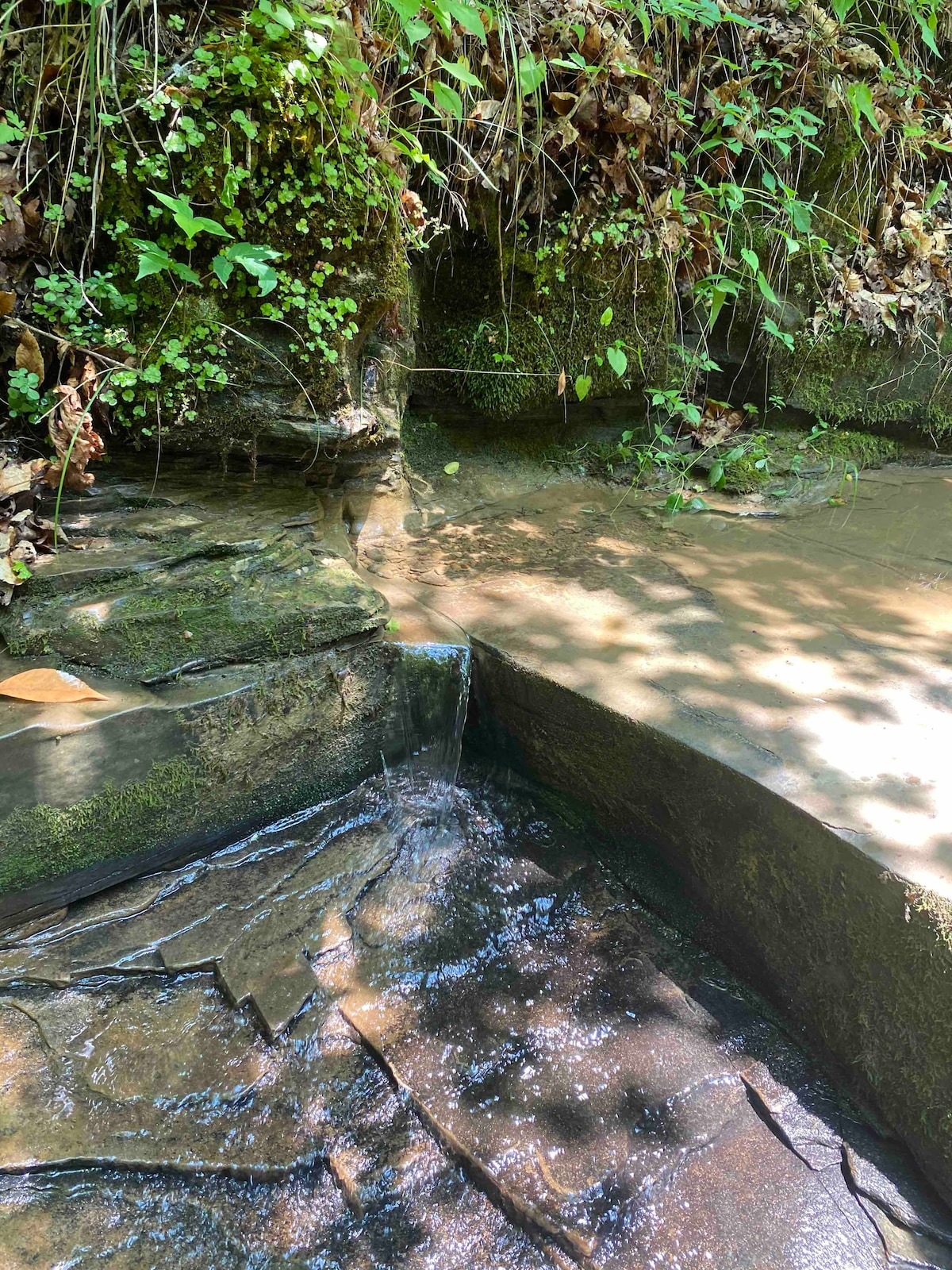 Stashed Hollow-Picturesque Appalachian Campsites