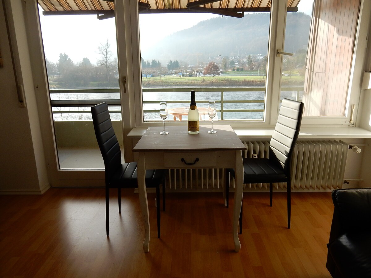 舒适的莱茵河公寓