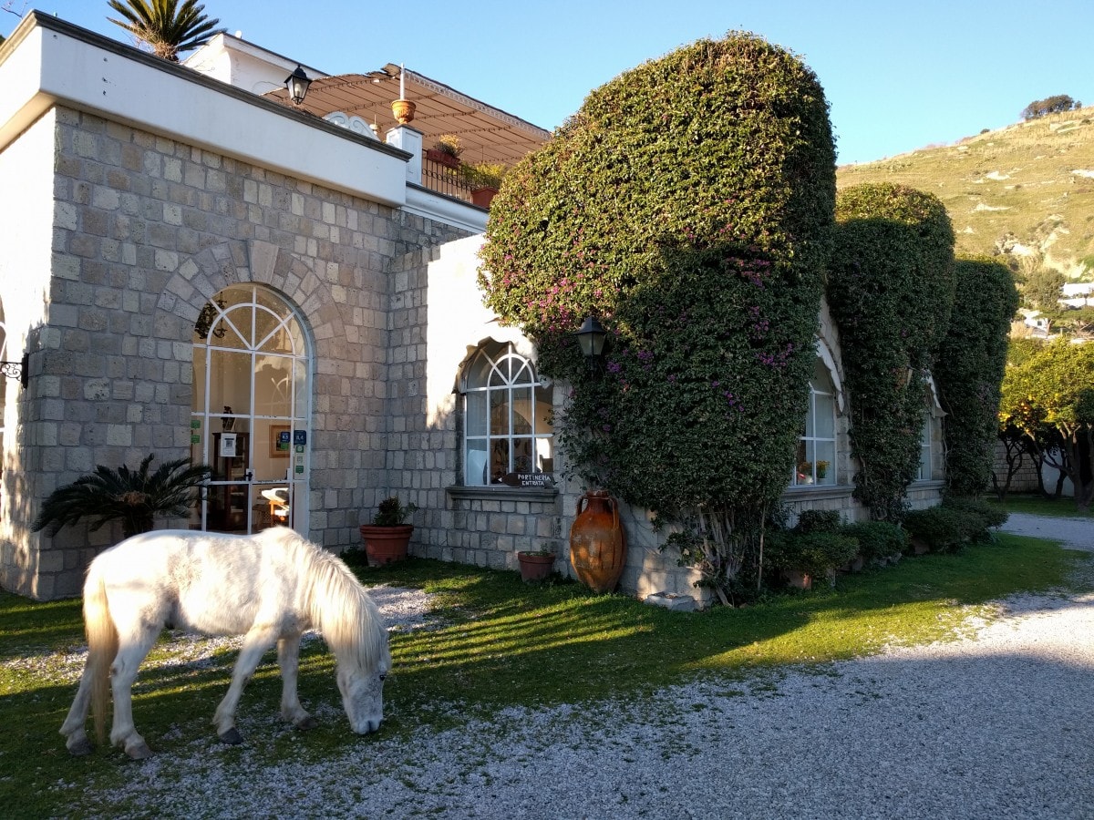 Loft 2 bagni, piscina e palestra